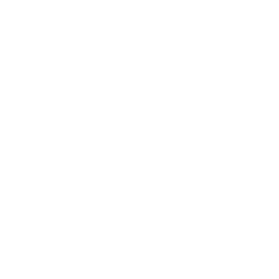 Multi-Motion logo